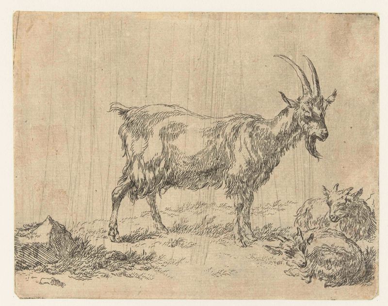 Gravura de Nicolaes Pietersz Berchem mostrando uma cabra com dois filhotes